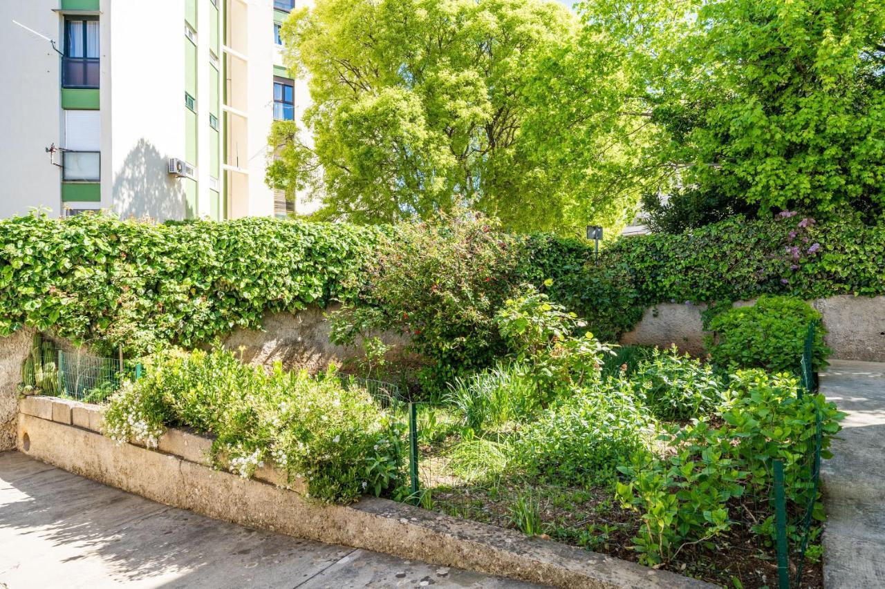 Apartment Kos 杜布罗夫尼克 外观 照片
